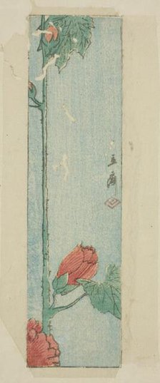 Envelope with hibiscus, n.d. Creator: Ando Hiroshige.