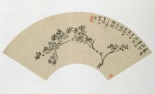 Apricot, 19th century. Creator: Wu Xizai.