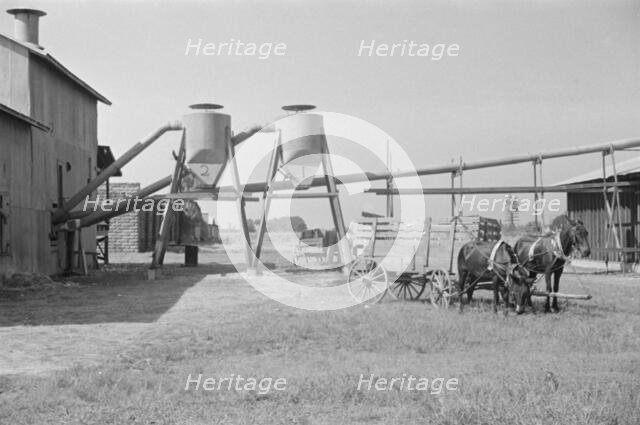 Cotton gin and wagons, Vicinity of Moundville, Alabama, 1936. Creator: Walker Evans.
