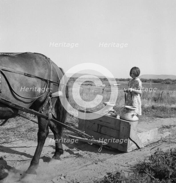 All Chris Adolf's children are hard workers..., Yakima Valley, Washington, 1939. Creator: Dorothea Lange.