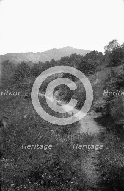 Country path, Appalachia, USA, c1917. Artist: Cecil Sharp