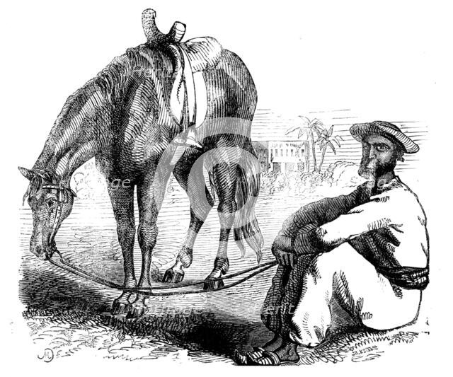 Sketches of Native Life in India - a Calcutta Syce, 1858. Creator: Unknown.