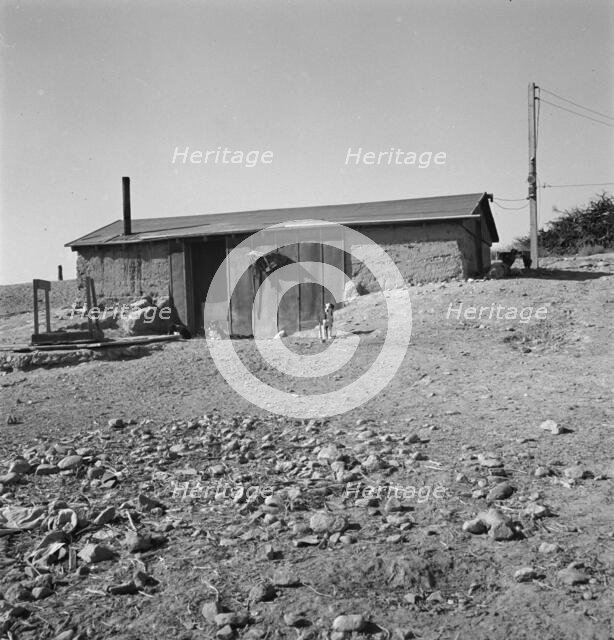 Abode basement dugout house on Roberts' farm, Willow Creek area. Malheur County, Oregon, 1939. Creator: Dorothea Lange.