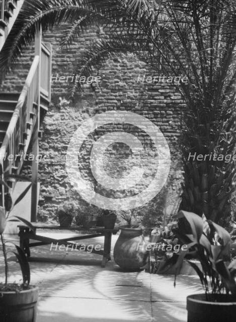 Palm courtyard, New Orleans, between 1920 and 1926. Creator: Arnold Genthe.