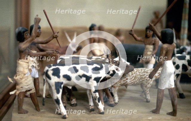 Herding cattle; Ancient Egyptian tomb model. Artist: Unknown
