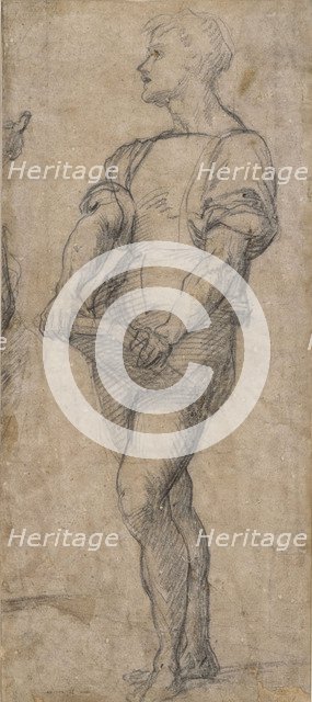 Standing youth holding a book, ca 1515. Artist: Andrea del Sarto (1486-1531)