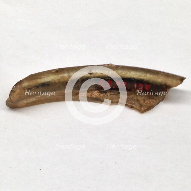 Fragment, European or Middle Eastern, ca. 1150-ca. 1250. Creator: Unknown.