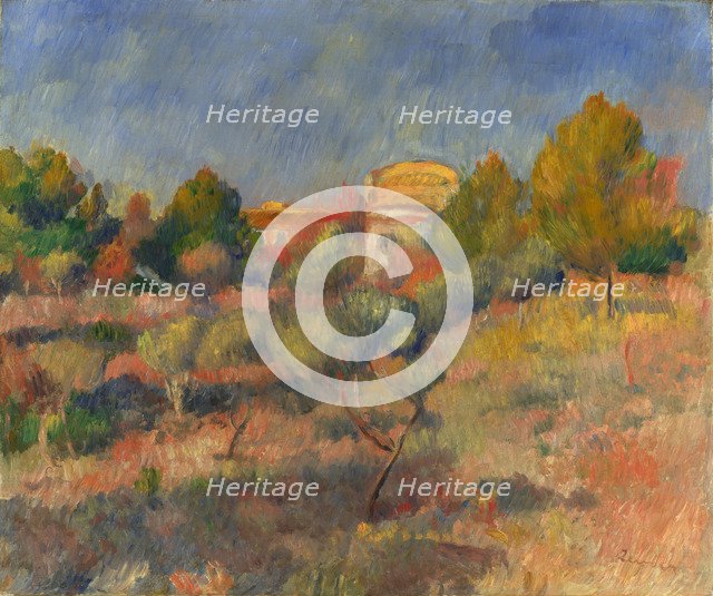 Pigeon Coop at Bellevue. Artist: Renoir, Pierre Auguste (1841-1919)