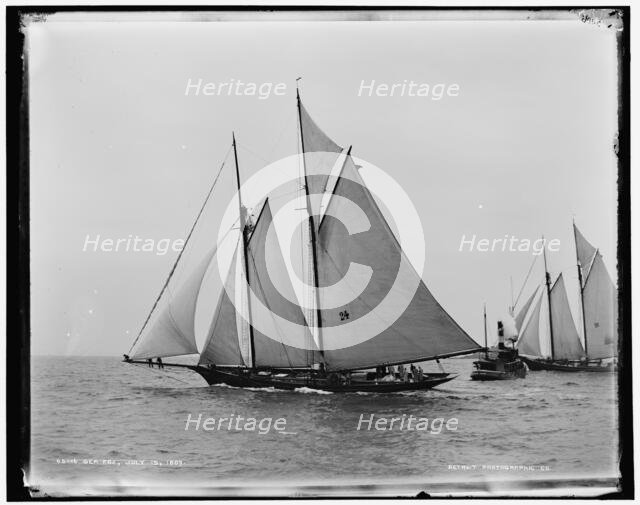 Sea Fox, 1889 July 15. Creator: Unknown.