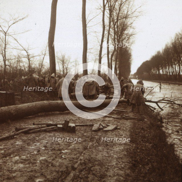 Felling trees, Noyon, northern France, c1914-c1918. Artist: Unknown.