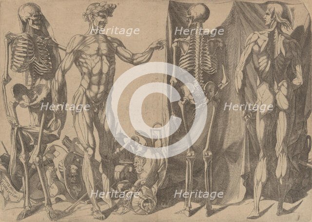 Two Flayed Men and Their Skeletons, ca. 1540-45. Creator: Domenico del Barbiere.