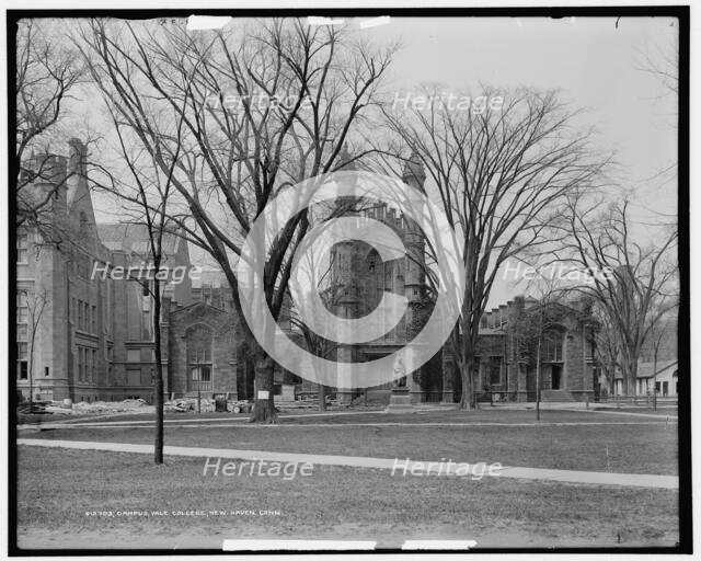 Campus, Yale College, New Haven, Conn., between 1900 and 1915. Creator: Unknown.