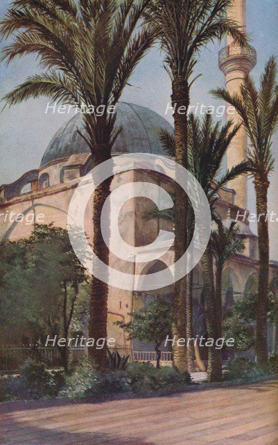 Palestine', c1930s. Artist: Donald McLeish.