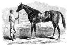 Jonathas, winner of the First Fontainebleau Stakes, 1862. Creator: Unknown.