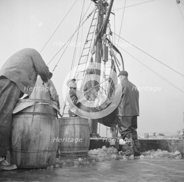 Possibly: New England fishermen unloading fish at the Fulton fish market, New York, 1943. Creator: Gordon Parks.