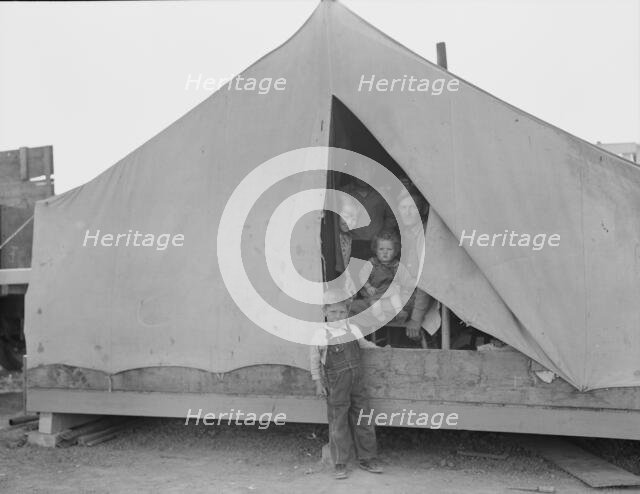 In Farm Security Administration (FSA) migratory labor camp, Brawley, Imperial Valley, 1939. Creator: Dorothea Lange.