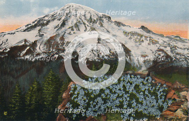 'The Phlox on Mount Rainier', c1916. Artist: Romans Photographic Company.