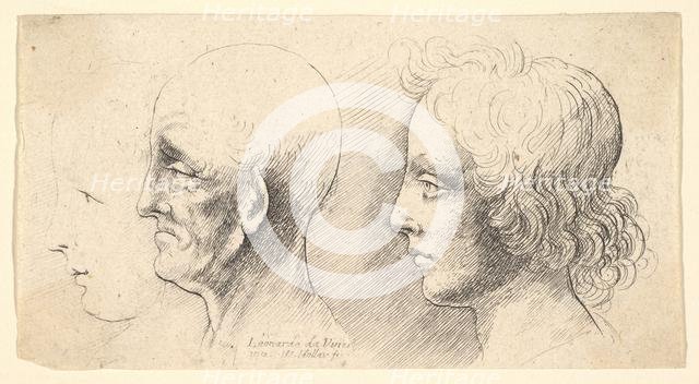 Three profile heads, one in outline only, 1625-77. Creator: Wenceslaus Hollar.