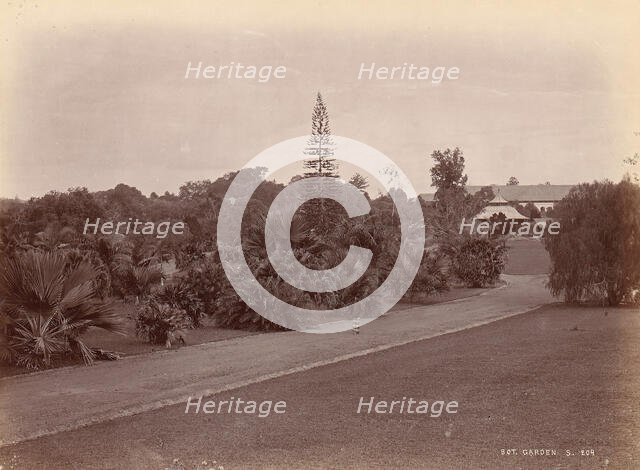 Botanical Garden, 1860s-70s. Creator: Unknown.