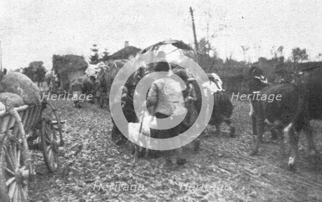 ''L'exode des paysans serbes.'. Creator: Unknown.