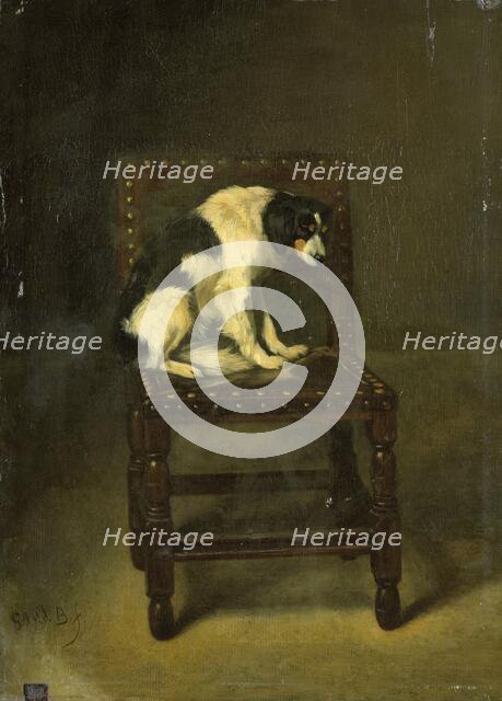A Dog on a Chair, 1860-1891. Creator: Guillaume Anne van der Brugghen.