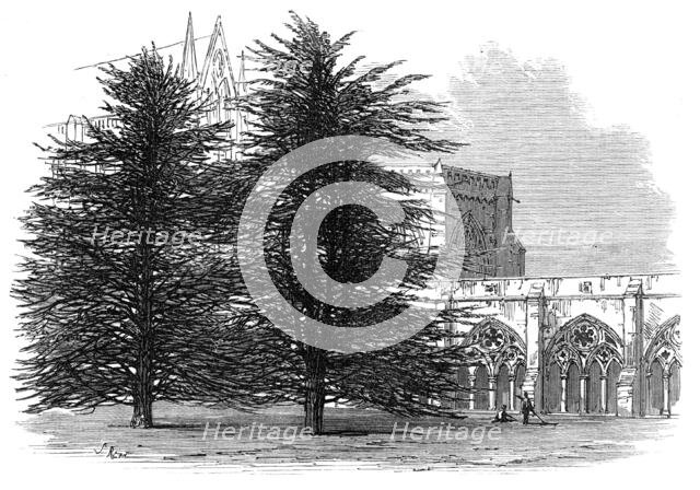 In the Cloisters, Salisbury, 1872. Creator: Unknown.