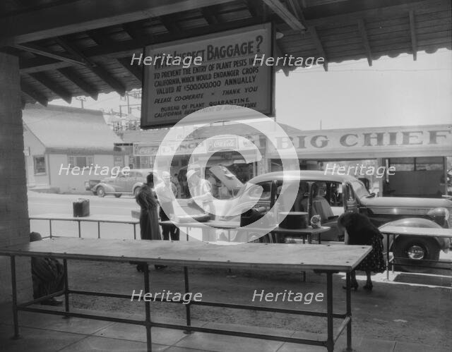 Plant quarantine inspector examining tourist baggage..., Yuma, Arizona, 1937. Creator: Dorothea Lange.