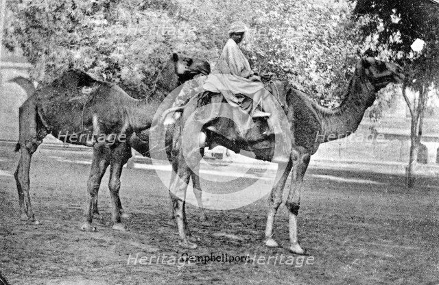 Campbellpore, Pakistan, 20th century. Artist: Unknown