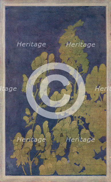 'Monk's-Hood', c1922. Artist: Harriet Sibyl Meugen.