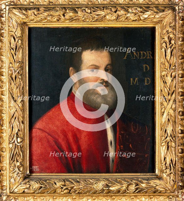 A man once designated as Andreas Vesalius (1514-1564), anatomist, 16th century. Creator: Venetian School.