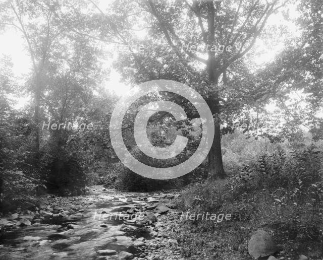 West River at Westville, New Haven, between 1900 and 1906. Creator: Unknown.