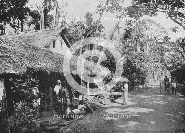 'Boralesgamuwa', c1890, (1910). Artist: Alfred William Amandus Plate.