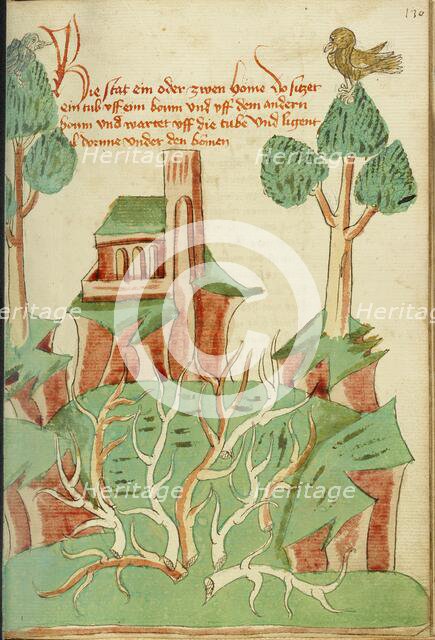 A Landscape with Trees, Thorn Bushes, and a Dove; Barlaam und Josaphat, 1469. Creators: Hans Schilling, Diebolt Lauber.