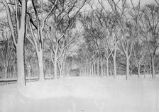 The Mall, Central Park, between c1910 and c1915. Creator: Bain News Service.