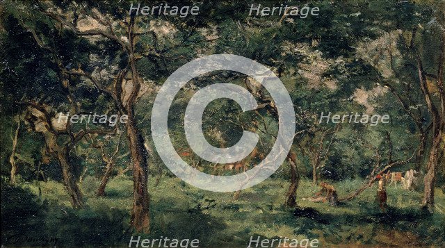 'Olive Orchard', early 1870s. Artist: Charles François Daubigny