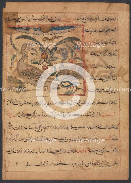 "Benefits of the Parts of Vultures"...(verso), late 1200s. Creator: Unknown.