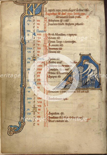 August Calendar Page; Reaping; Psalter, mid-1200s. Creator: Unknown.