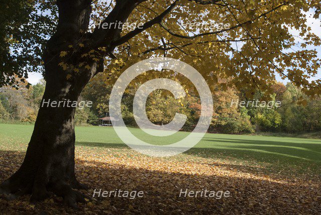 UK, London, Hampstead Heath, 2009. Creator: Ethel Davies.