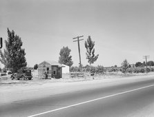 Between Tulare and Fresno, California, 1939. Creator: Dorothea Lange.