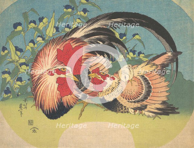 Rooster, Hen and Chicken with Spiderwort, ca. 1830-33. Creator: Hokusai.