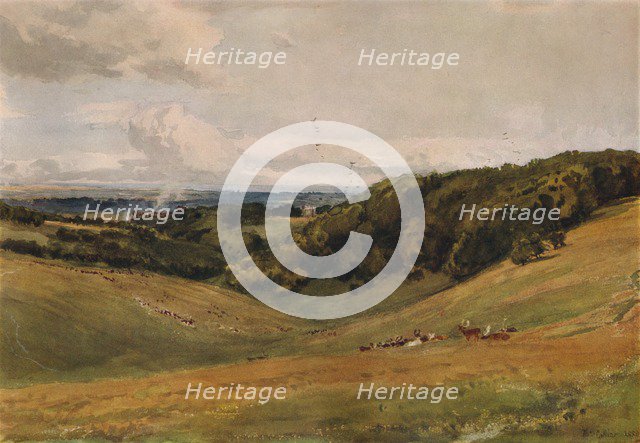 'Arundel Park, with Deer', 1880. Artist: Thomas Collier.