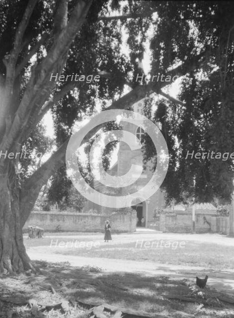 Travel views of Cuba and Guatemala, between 1899 and 1926. Creator: Arnold Genthe.