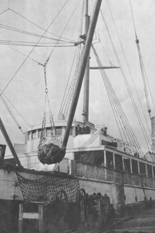 Loading copper on ship, between c1900 and 1916. Creator: Unknown.