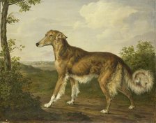 Siberian Greyhound, c.1825. Creator: Jan Dasveldt.