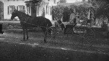 Tarbell, Ida, Miss, with dog, in a horse-drawn wagon, 1912 or 1913. Creator: Arnold Genthe.
