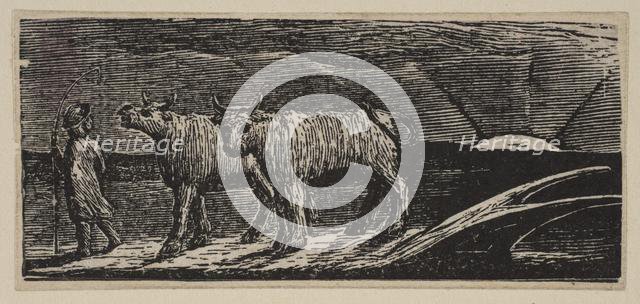 Unyok'd Heifers, Loitering Homeward, from Thornton's Pastorals of Virgil, 1821. Creator: William Blake.