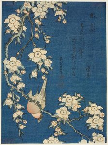 Bullfinch and Weeping Cherry (Uso, shidarezakura), from an untitled series of flowers...Japan, c1834 Creator: Hokusai.