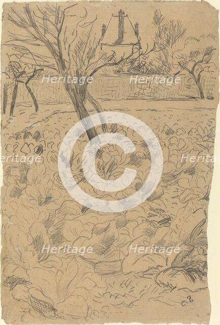 Le champ de choux, c. 1880. Creator: Camille Pissarro.