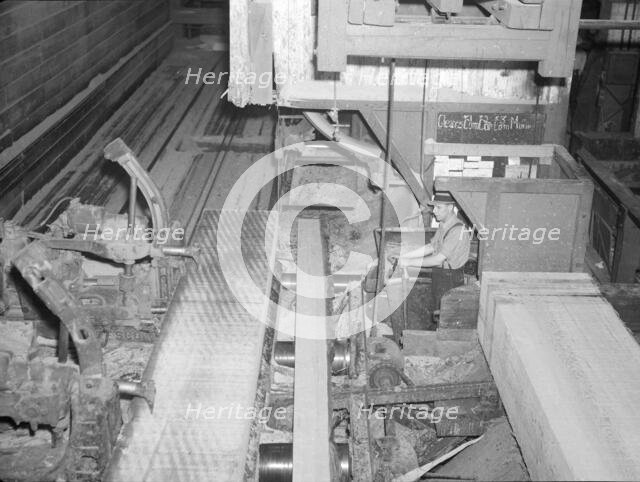 Resident of Longview Homesteads in sawmill, Longview, Washington, 1936. Creator: Dorothea Lange.