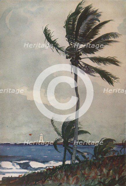 'Palm Trees, Nassau', 1898, (1932). Artist: Winslow Homer.
